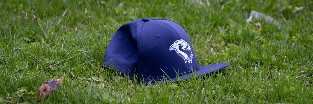 Cover photo for Intrinsic Downtown VS Holy Trinity Baseball